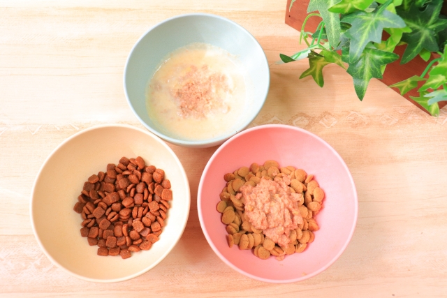 食いつきのいいドッグフードはどれ？イメージ画像
