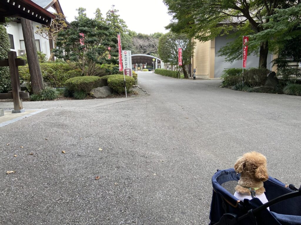 駐車場かえあ白鷺神社の境内へ向かう小夏