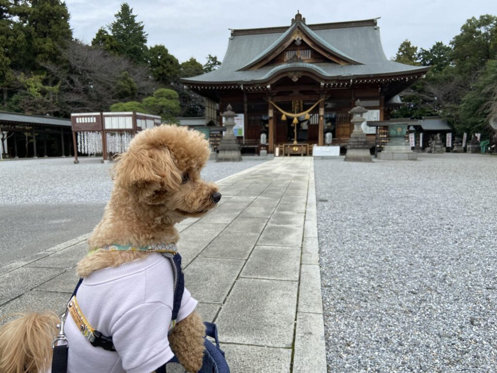 白鷺神社と小夏
