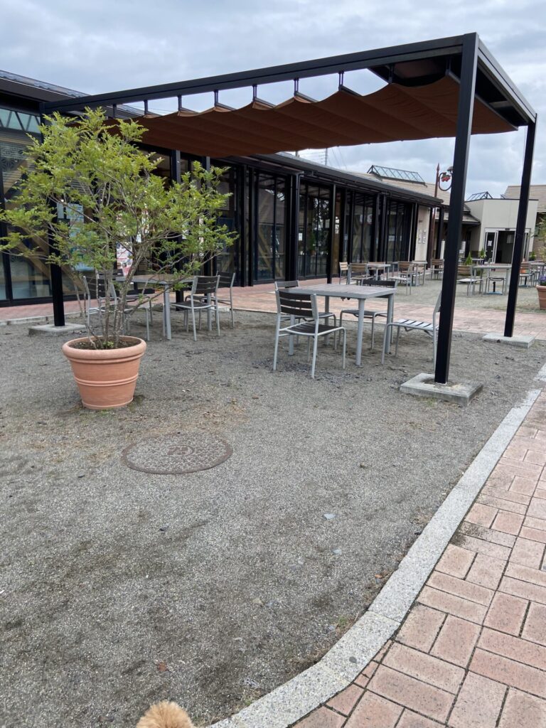 道の駅にのみやの中庭①