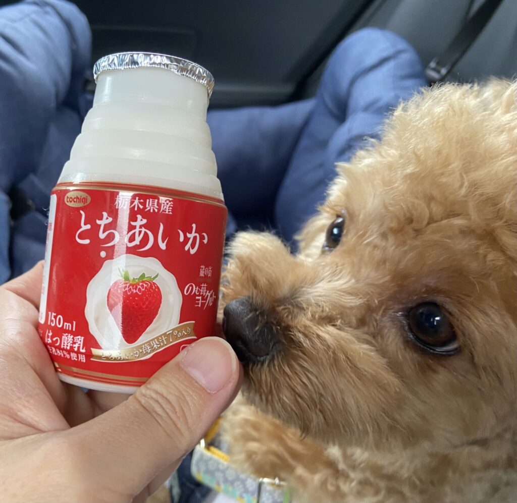 蔵の街のむヨーグルト(栃木県産とちあいか使用)