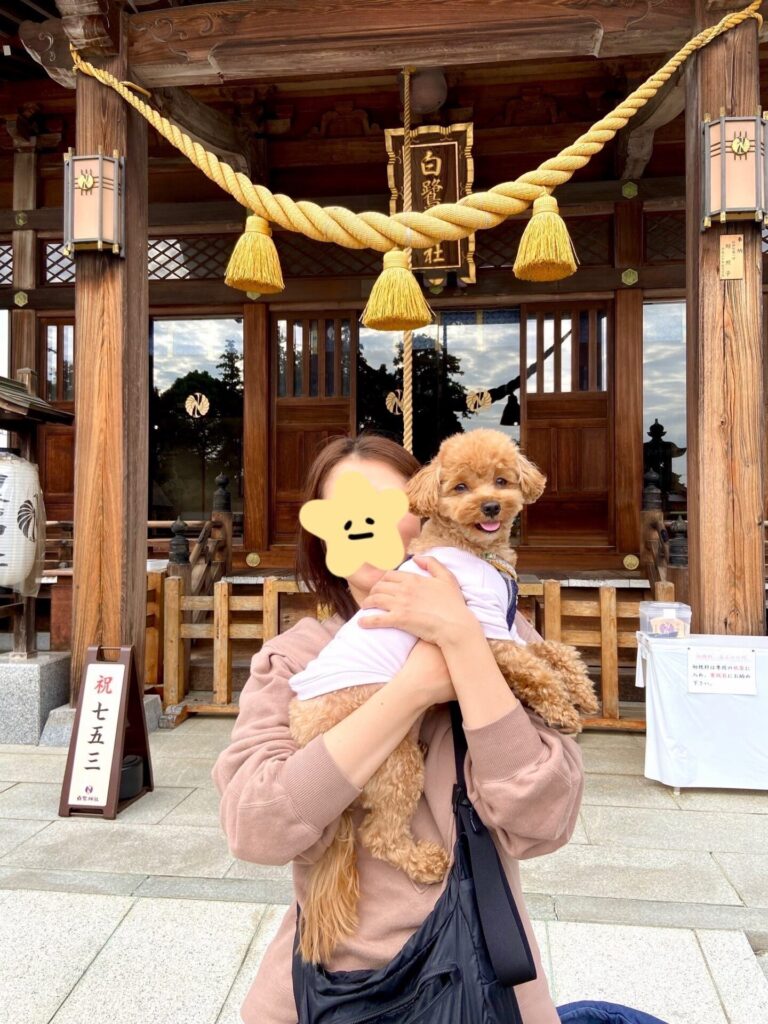 白鷺神社の本殿で参拝を済ませた小夏とわたくし